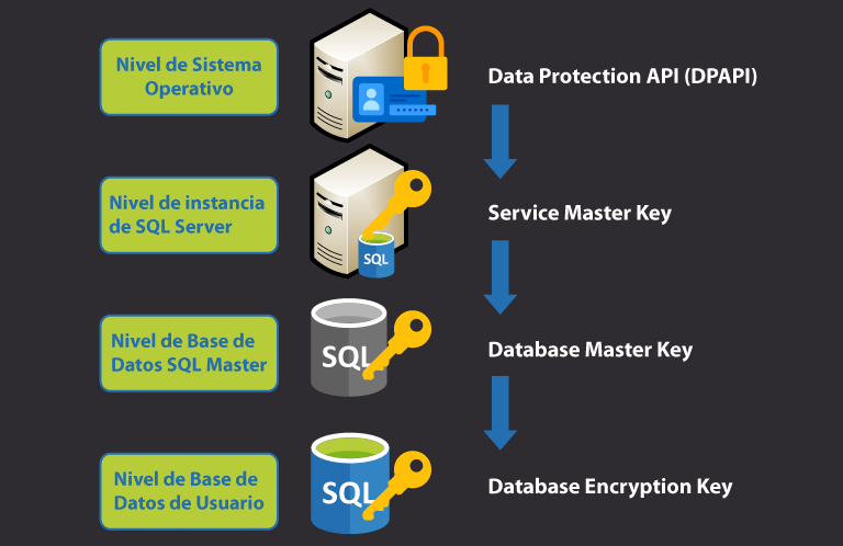 Cifrado de base de datos SQL Server utilizando TDE