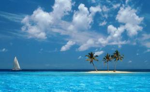 Concurso seo seovolución